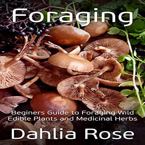 Foraging: Beginners Guide to Foraging Wild Edible Plants and Medicinal Herbs Foraging: Beginners Guide to Foraging Wild Edible Plants and Medicinal Herbs