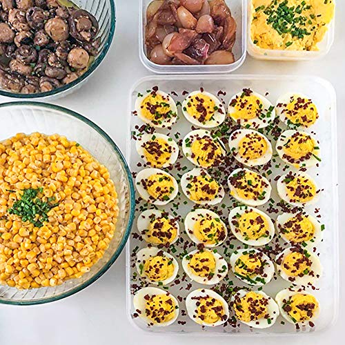 HANSGO Egg Holder for Refrigerator, Deviled Egg Tray Carrier with Lid Fridge Egg Dispenser Egg Storage Stackable Plastic Egg Containers, 24 Egg Box