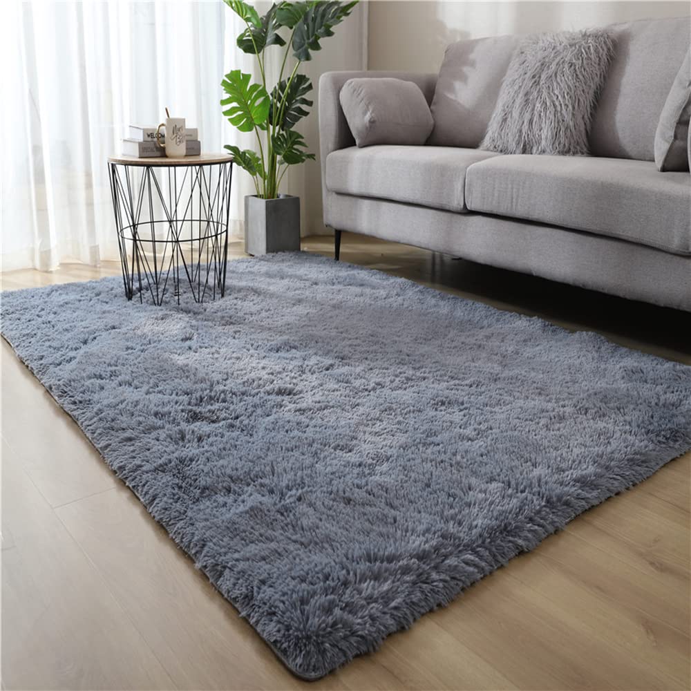 Kaxich Area Rugs Large Soft Fluffy Living Room Rug Non-Slip Shaggy Carpet Furry Plush Floor Mats for Bedroom Kids Rooms Home Decor Non Shedding, 80cm x 160cm (2.6 x 5ft)