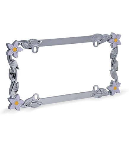 Amazon.com: Speedy Pros Panty Dropper Zinc Metal License