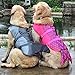 WOPET Dog Life Jacket Size Adjustable Dog Lifesaver Safety Vest (M, Pink)