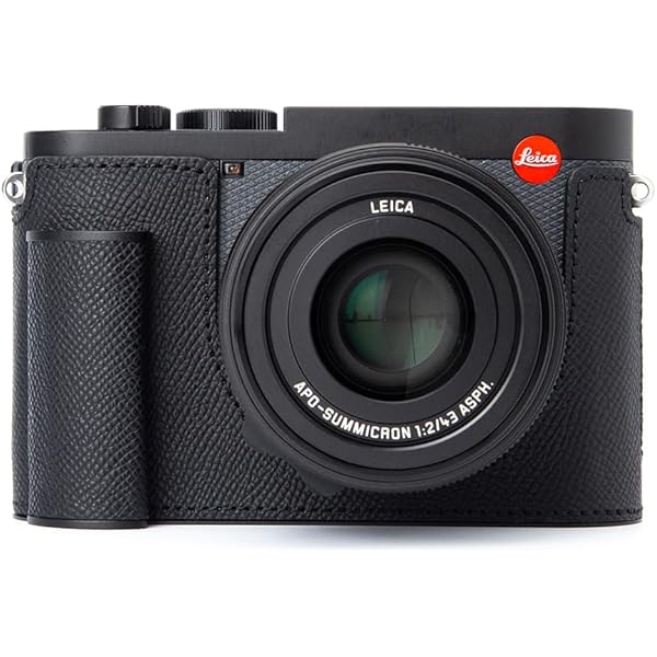 Amazon.com : BMAOLLONGB D-Lux 8 Camera Case, Handmade Genuine Real