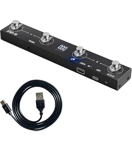 Amazon.com: Behringer FCB1010 Ultra-Flexible MIDI Foot