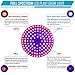 Haodude Led Grow Light Bulb, 95W Full Spectrum Grow Lights E26 Grow Plant Light for Hydroponics Greenhouse Organic, Lights for Aquarium, Hydroponic Aquatic Indoor Plants,Pack of 1
