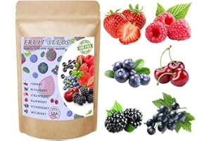 1100pcs Mixed Fruit Seeds Berry Seeds for Planting Strawberry Raspberry Mulberry Blueberry Elderberry Cherry - Individually P