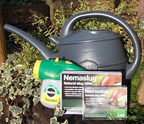 Nemaslug Slug Killer 40sqm Pack Plus Hose End Applicator Amazon