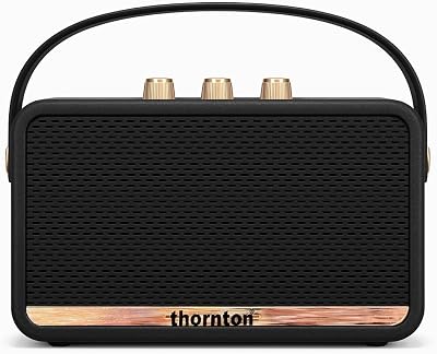 Flow Altoparlante Bluetooth - Altoparlante stereo portatile wireless impermeabile IP67, 5 ore di riproduzione, ricarica USB-C, design retrò con comandi dorati