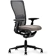 Haworth Zody Dual Posture Mesh Office Chair – Ergonomic Desk Chair with Forward Tilt Option – with Lumbar Support (Steel)