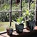 Aquaphoric Self Watering Planter (5”) + Fiber Soil = Foolproof Indoor Home Garden. Decorative Planter Pot for All Plants, Flowers, Herbs, African