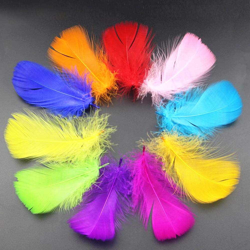 Rgargga Plumes Colorées, 250pcs Naturel Multicolore Plume Décoration pour DIY Arts Crafts, Idéal pour Costumes, Chapeaux, Décoration d\'intérieur Fete Mariage Anniversaire