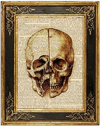 Dreamery Studio, Da Vinci Skull Study Art Print on Upcycled Antique Book Page, 8x10.5