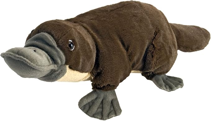 baby platypus stuffed animal