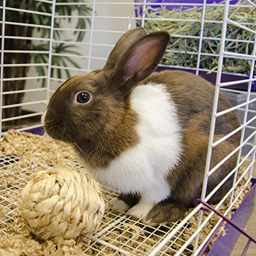 Ware Manufacturing All Natural Sisal Ball Toy for Small Pets, Medium