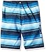 O'NEILL Boys' Santa Cruz Stripe Boardshort, Blue, 26