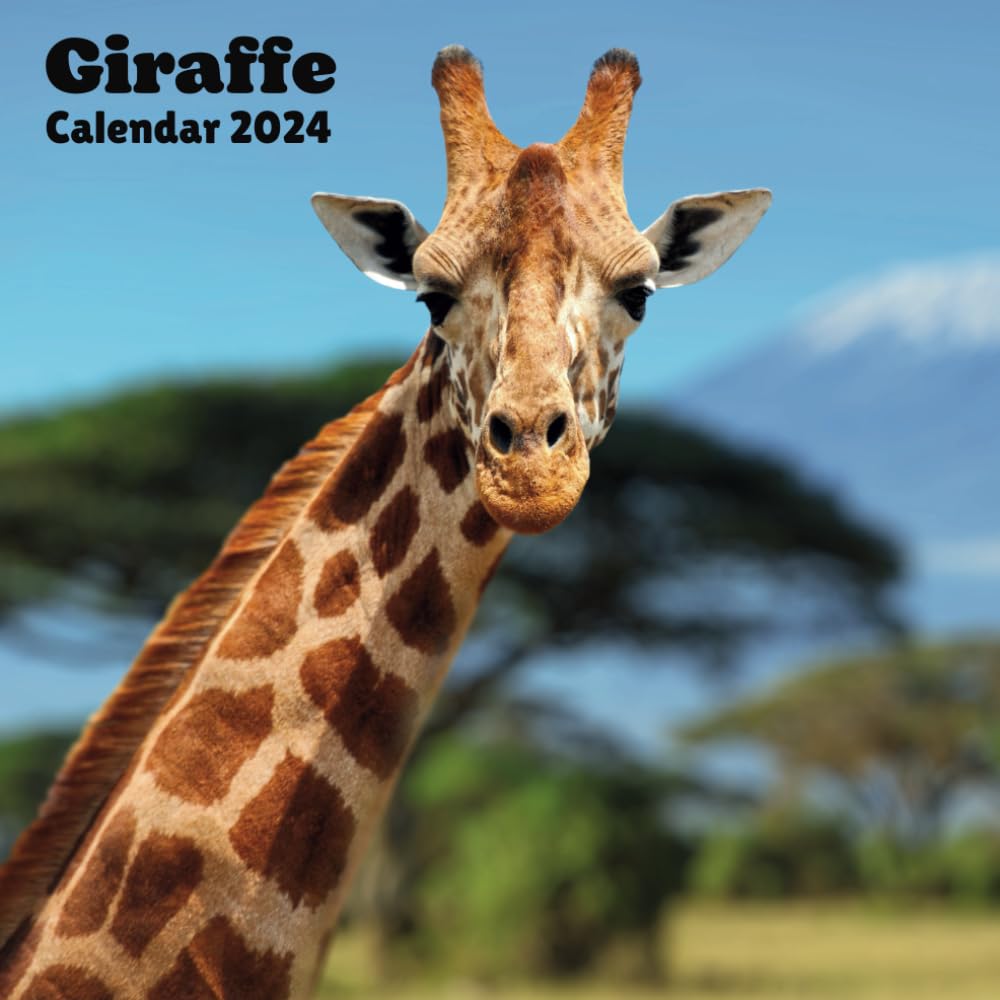 Giraffe Calendar 2024: 16 Months Calendar ,Schedule Organizer From September 2023 to December 2024 ,For Animals lovers , Men , Women , Girls , Boys