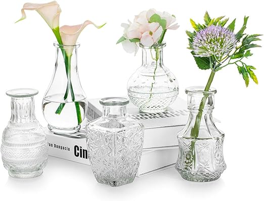 Amazon Com Glass Single Bud Vase Set Of 5 Decorative Rustic Flower Vases Small Mini Table Floral Vase Barcelona Style For Home Decor Centerpieces Events Vintage Look Home Kitchen