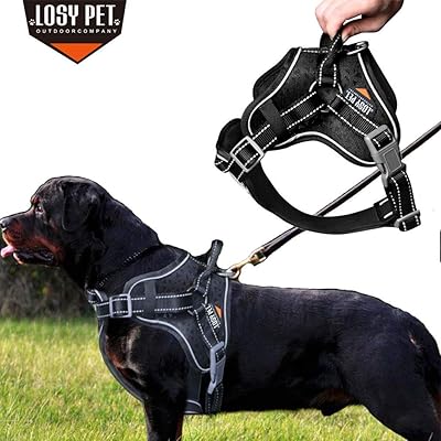 losy pet harness