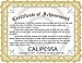 CALIPESSA Womens Summer Plain Sleeveless Pocket Loose Casual Swing T-shirt Dress