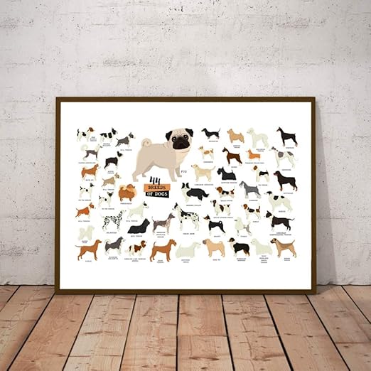 Ebonp Coleccion De Razas De Perros Ilustracion Cartel Arte De La
