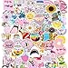 Watter Bottles Stickers for Vsco Girls(Big 100 pcs) Aesthetic Stickers for Teens,Girls,Luggage Bicycle Notebooks,Computers,Phone,Cars 100% Vinyl