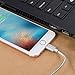 Lansen KARL01-025 iPhone Charger Cable Cord - Gray