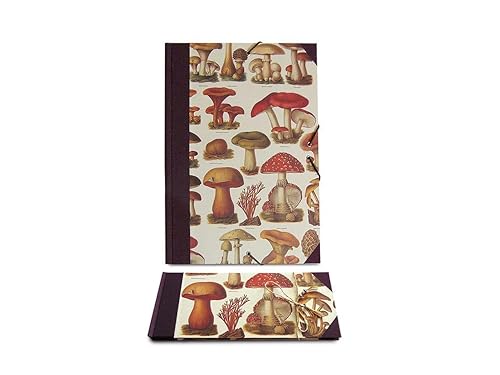 regalos amazon originales