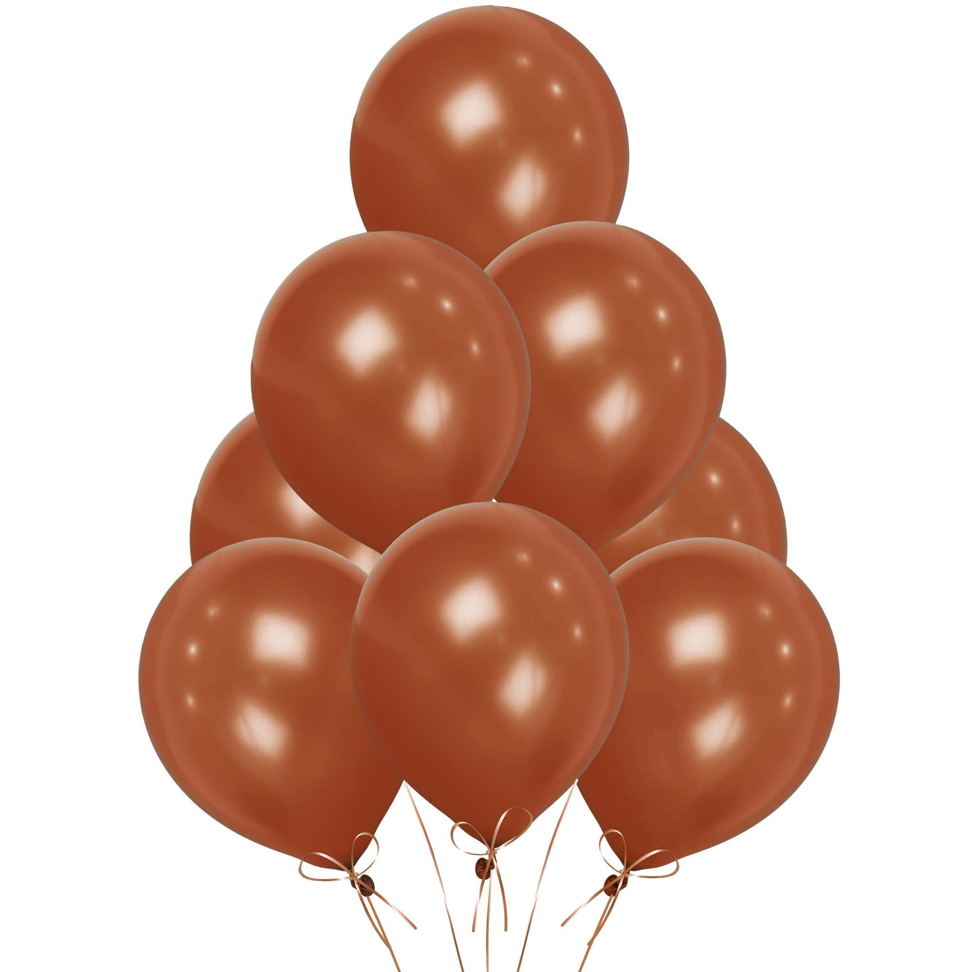 Dark Brown Balloons 25 Pack, Large 12 Inch Thick Latex Biodegradable Helium Party Balloons for Birthday, Wedding, Baby Shower, Valentine's Day Events Decoration for Balloon Arch Garland