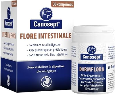 Flore Intestinale Chien - Prébiotiques et Probiotiques Chien - pour stabiliser la Digestion physiologique - Renforcer la Flore intestinale du Chien - 30 comprimés