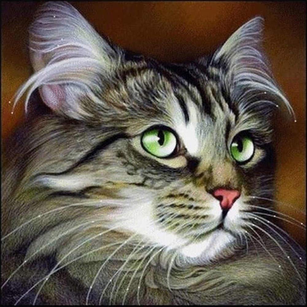 5D Diamond Painting Kits, Lovely Gray Cat Animals WOWDECOR Full Drill DIY Diamond Art Cross Stitch Paint by Numbers
