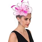 SAFERIN Fascinators Hat Flower Mesh Ribbons Feathers on a Headband and a Clip Tea Party Headwear for Girls and Women
