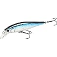LUCKY CRAFT Pointer 65SP, Freshwater Lake Bass Fishing Lure, Jerkbait, Smallmouth, Walleye, Trout, Suspending, Tournament Winning, Perfect Wobbling, Fishing Gear, Fishing Accessories, Fishing Tackle