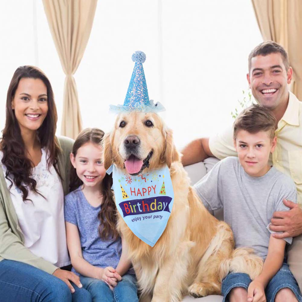 small dog birthday hat