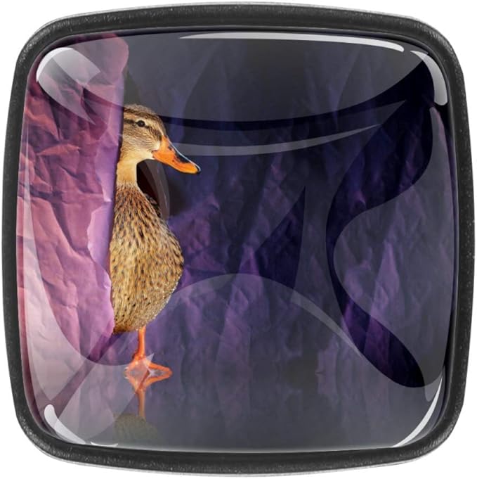 Amazon.de: Quadratische Knäufe mit Entenmotiv, für Schrank, Tür, Möbel