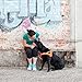 EzyDog Quick Fit Dog Harness – No Pull Harness for Training, Everyday Walking, and Easy Control - Adjustable Fit, Reflective, and Padded (Medium, Red)