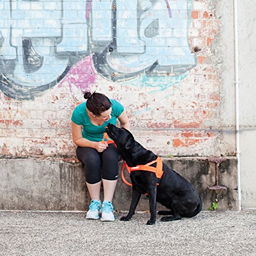 image for EzyDog Premium Quick Fit Adjustable No-Pull Dog Harness Vest with Refl