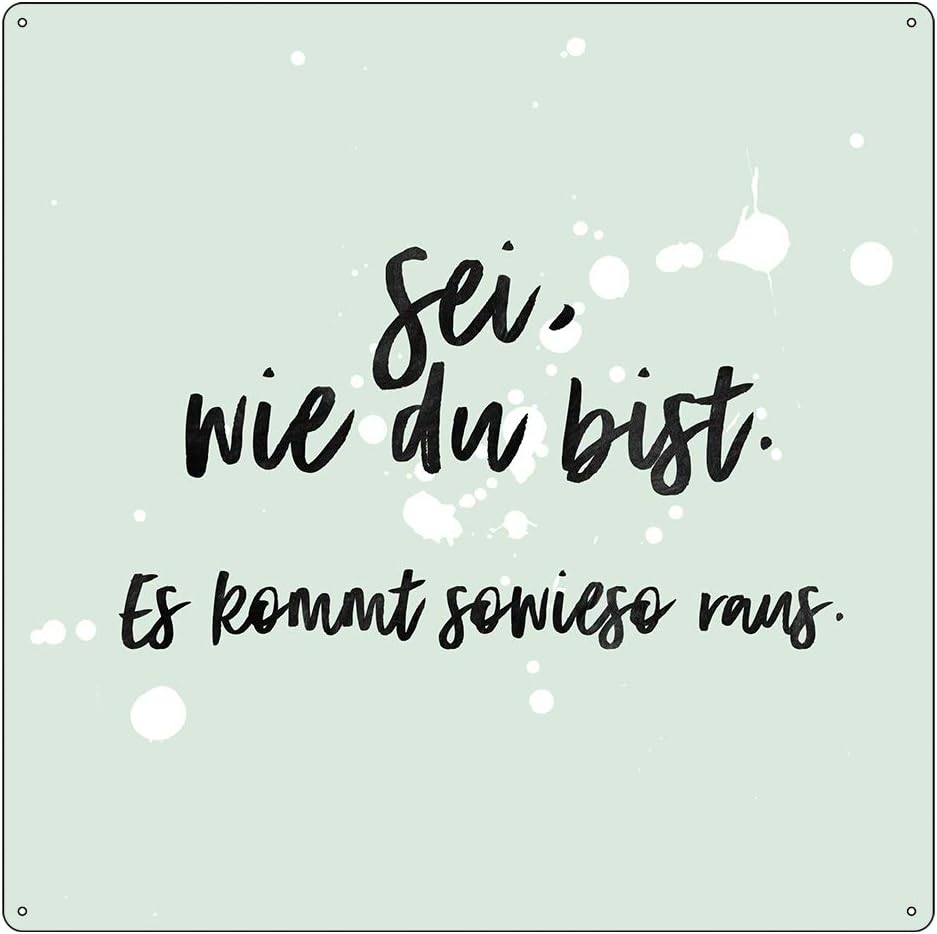 Interluxe 20x20cm METALLSCHILD Türschild SEI WIE DU BIST ES KOMMT