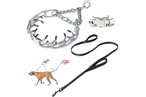 KITYS FATCH Prong Collar for Dogs,Dog Training Collar with One Professional Training Leash,Adjustable Pinch Collar with Quick Release Metal Buckle, No Pull Choke Collar for Small Medium Large Dogs（Silver, M/L）