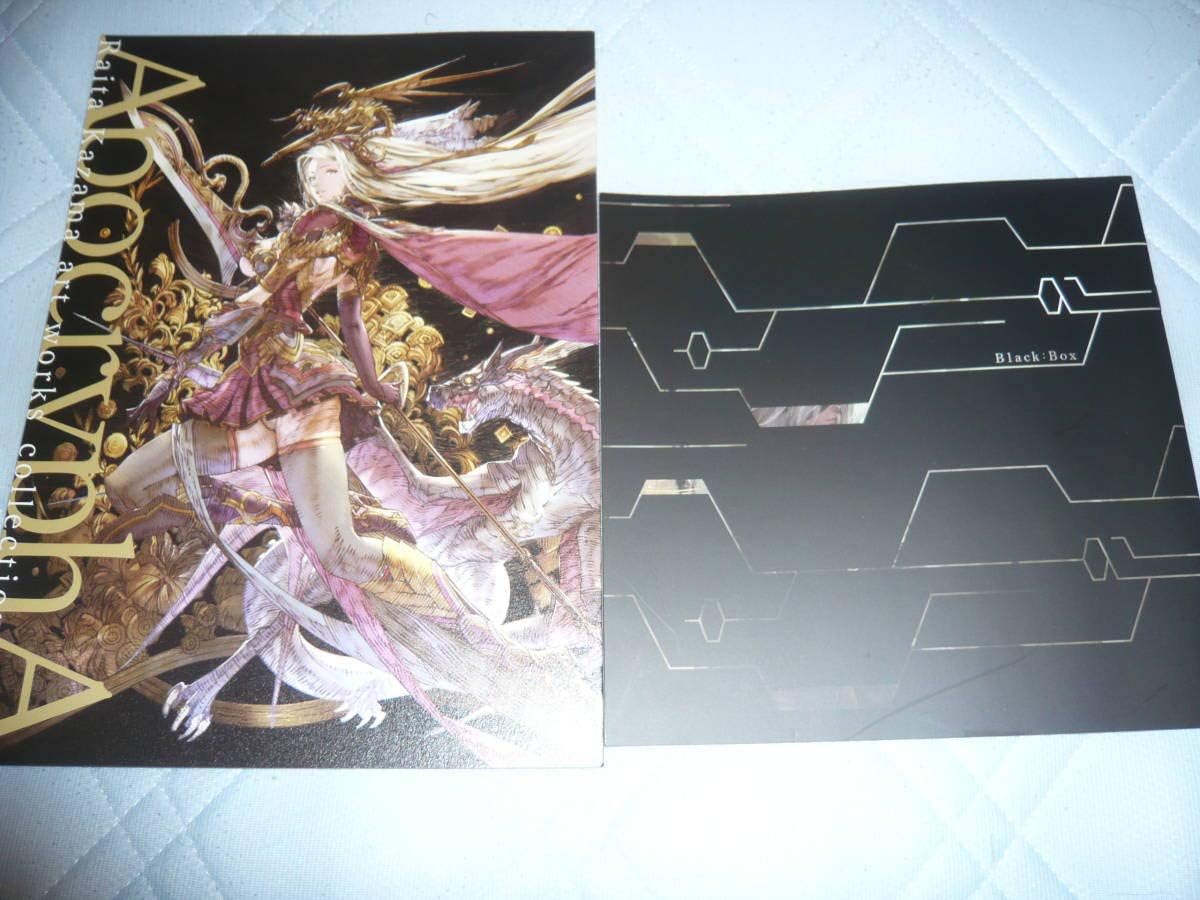 ｃ94新刊 風間雷太 Apocrypha Vol 1 Black Box アクリルスタンド付き 戦国大戦 三国志大戦 ニーアオートマタetc イラスト集 おもちゃ ホビー Amazon