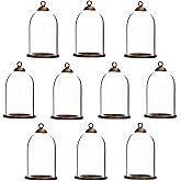 ZenRa 10 Pieces Clear Tube Glass Globe Bottle with findings Hollow Dome, Glass Vial Pendant Charms (30x20mm Bronze Classic)