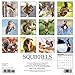 Squirrels 2017 Wall Calendar