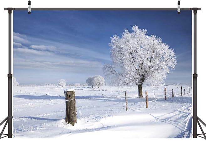 Lywygg 7x5ft Neige Blanche Jour Neige Fond Arbre Neige Route Fond Anniversaire Fond Mariage Fond Fete Fond Cp 105 Amazon Fr Photo Camescopes