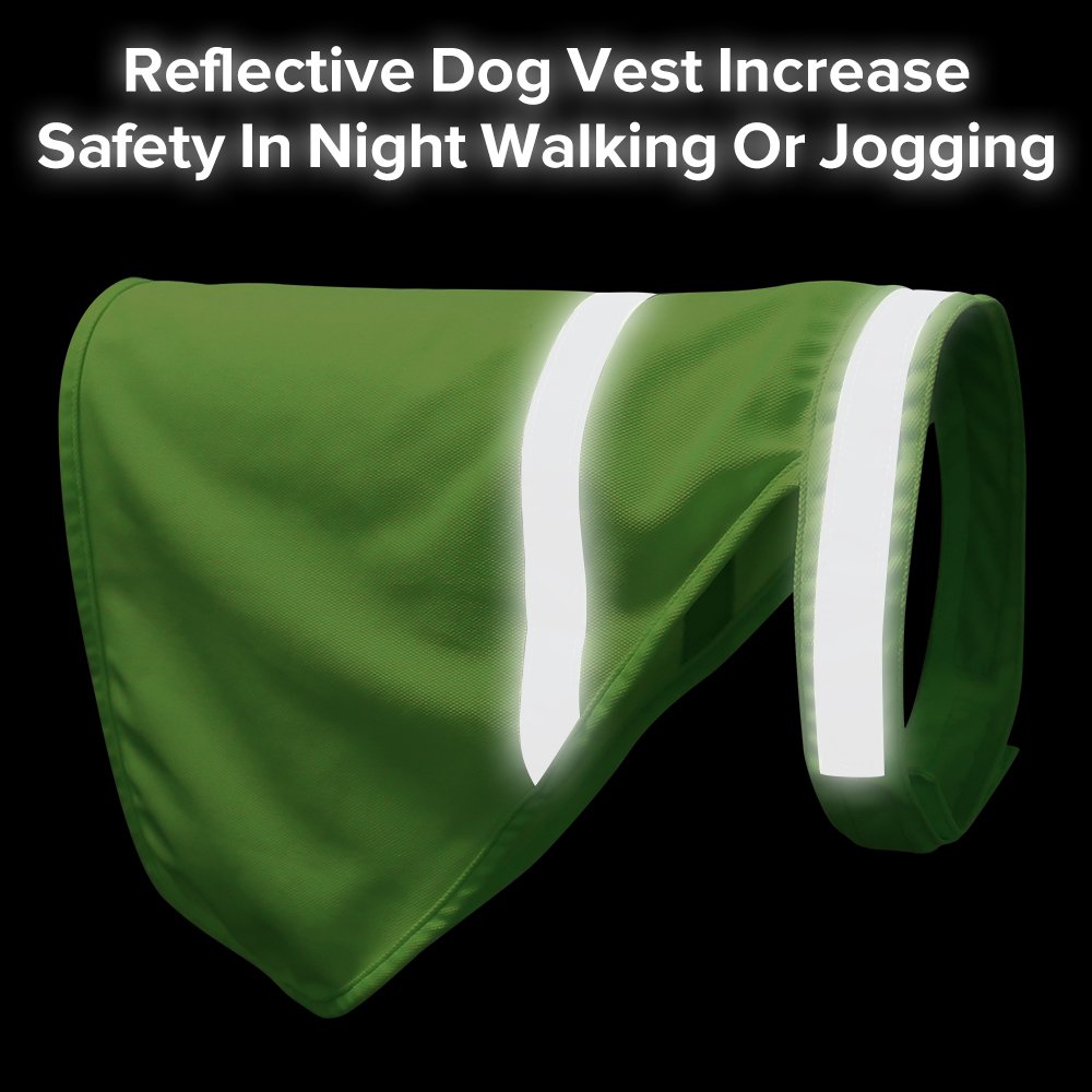 Clan_X Reflective Dog Vest, High-Visible Lightweight Dog Safety Cloth to Keep Dogs Safe, Adjustable Sizes to Fit Small, Medium, Large Breeds for Walking, Hunting, Jogging, Training. (M, Green)