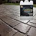 5 Gallon DOMINATOR SG+ High Gloss Paver Sealer and Decorative Concrete (Wet Look) - Solvent Free, Twice The Coverage Rate (up to 2,000 sq ft)