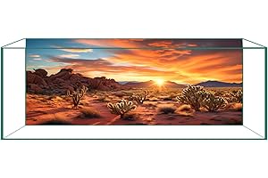 CICK SEED Aquarium Background & Terrarium Background – Ultra HD Static Cling, Tape-Free, Desert Sunset Design for Reptile Tank Decorations, Perfect for Bearded Dragon and Leopard Gecko Tanks 17.7 X 47.2 Inches