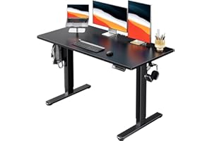 HUANUO Electric Standing Desk, 48" x 24" Whole Piece Desktop, Adjustable Height Computer Desks, 4 Height Memory Settings, Sit Stand Up Desk for Home Office, Black