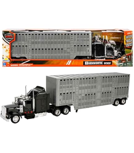 Amazon.com: 1/43 D/C Kenworth W900 Double Dump Truck, Color May