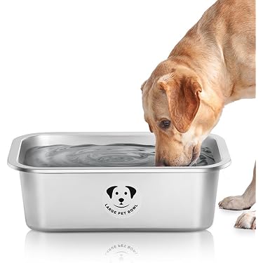 Amazon Best Sellers: Best Basic Dog Bowls