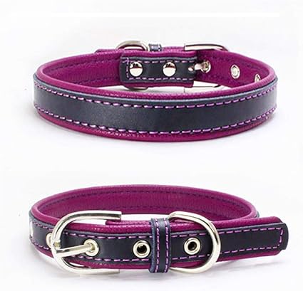 Dog collar soft inside Clearance