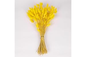 Gold Yellow Bunny Tails Dried Flowers Bulk, 110-120pcs Gold Yellow Rabbit Tails Dried Grass ,XMFAYUAN Small Pampas Grass Bouquet Natural Dried Plant for Home Decor and Gifting (16-17")