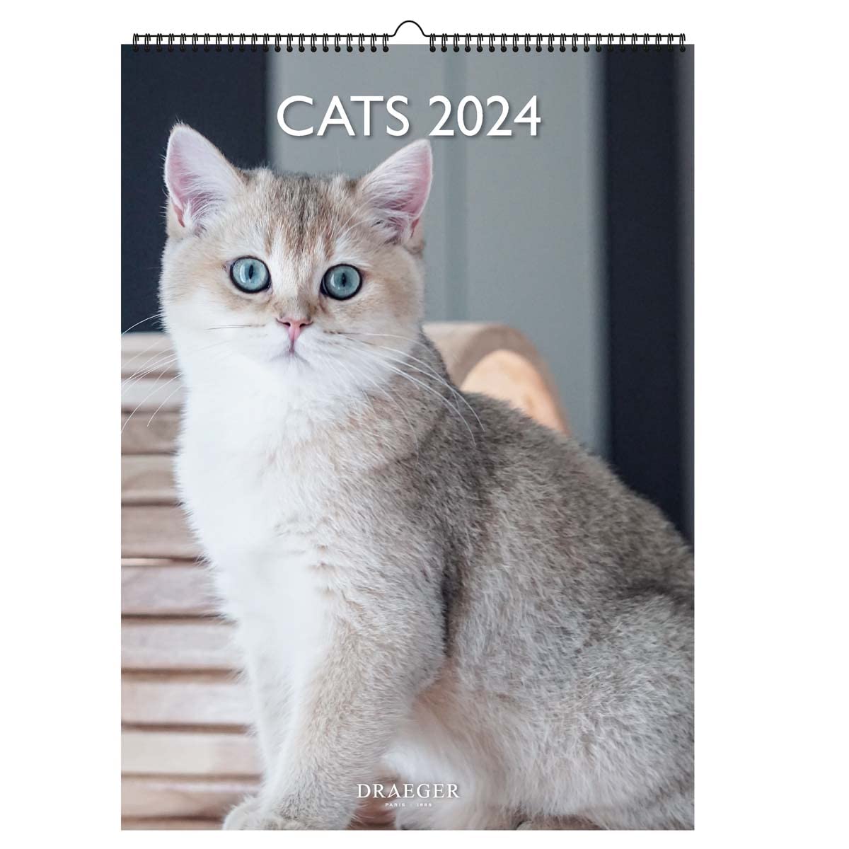 DRAEGER PARIS | Decorative Wall Calendar Cats 2024 Hanging 29 x 39 cm | 16 Months Sept-23 to Dec 24 | 7 Languages | Office Calendar, Home, Monthly | Decoration, Organisation | FSC® Certified Paper